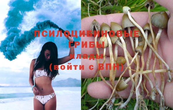 a pvp Нягань