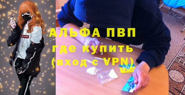 a pvp Новодвинск