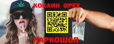 apvp Камышлов