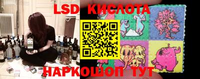 apvp Камышлов