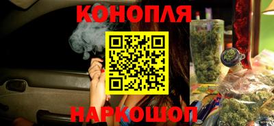 apvp Камышлов