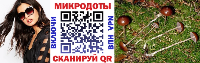 Псилоцибиновые грибы прущие грибы  Новосибирск 